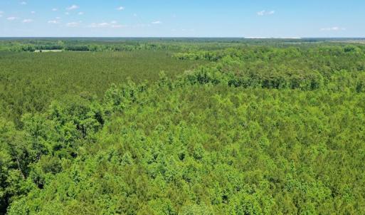 Photo #17 of SOLD property in Off Minor Run Road, Blounts Creek, NC 48.0 acres