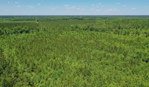 Photo #18 of SOLD property in Off Minor Run Road, Blounts Creek, NC 48.0 acres