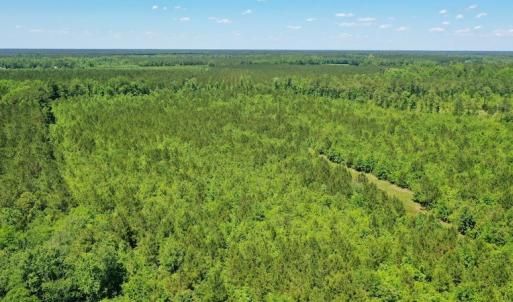 Photo #19 of SOLD property in Off Minor Run Road, Blounts Creek, NC 48.0 acres