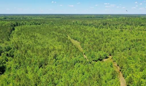 Photo #20 of SOLD property in Off Minor Run Road, Blounts Creek, NC 48.0 acres