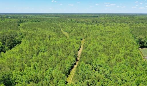 Photo #21 of SOLD property in Off Minor Run Road, Blounts Creek, NC 48.0 acres