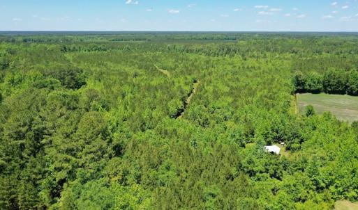 Photo #22 of SOLD property in Off Minor Run Road, Blounts Creek, NC 48.0 acres