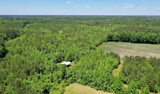 Photo #23 of SOLD property in Off Minor Run Road, Blounts Creek, NC 48.0 acres
