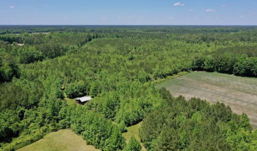 Photo #24 of SOLD property in Off Minor Run Road, Blounts Creek, NC 48.0 acres