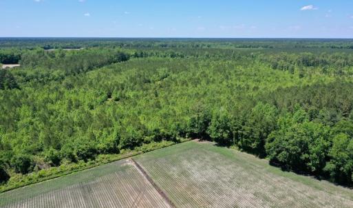 Photo #25 of SOLD property in Off Minor Run Road, Blounts Creek, NC 48.0 acres
