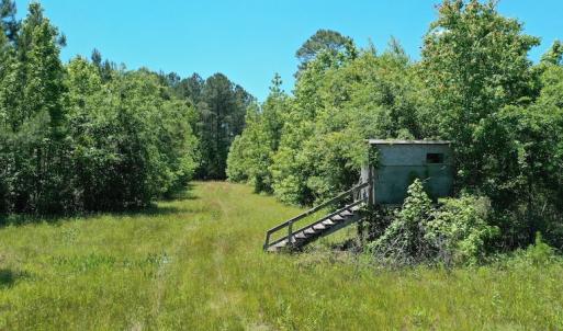 Photo #26 of SOLD property in Off Minor Run Road, Blounts Creek, NC 48.0 acres