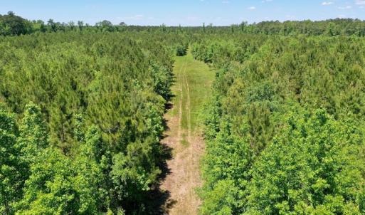 Photo #27 of SOLD property in Off Minor Run Road, Blounts Creek, NC 48.0 acres