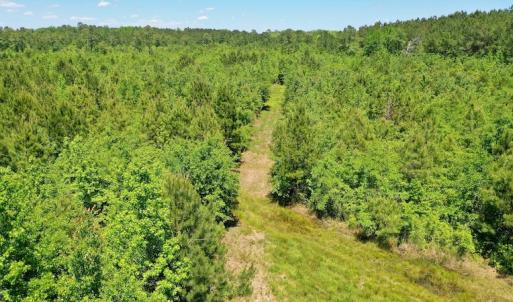 Photo #28 of SOLD property in Off Minor Run Road, Blounts Creek, NC 48.0 acres