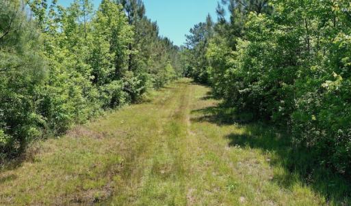 Photo #29 of SOLD property in Off Minor Run Road, Blounts Creek, NC 48.0 acres