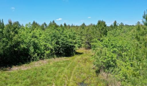Photo #30 of SOLD property in Off Minor Run Road, Blounts Creek, NC 48.0 acres