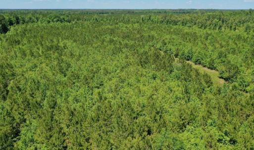 Photo #32 of SOLD property in Off Minor Run Road, Blounts Creek, NC 48.0 acres