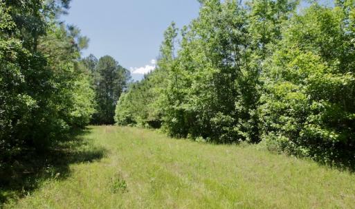 Photo #33 of SOLD property in Off Minor Run Road, Blounts Creek, NC 48.0 acres