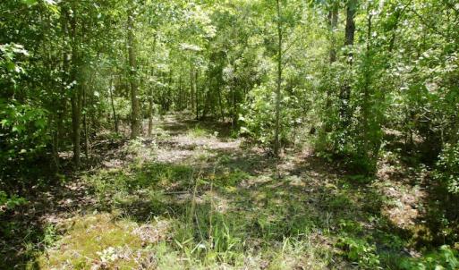 Photo #34 of SOLD property in Off Minor Run Road, Blounts Creek, NC 48.0 acres