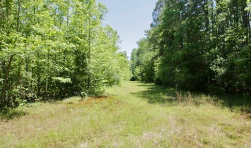 Photo #35 of SOLD property in Off Minor Run Road, Blounts Creek, NC 48.0 acres