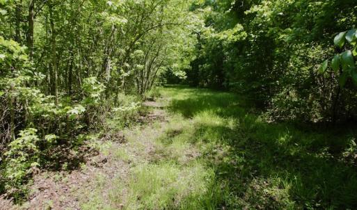 Photo #36 of SOLD property in Off Minor Run Road, Blounts Creek, NC 48.0 acres