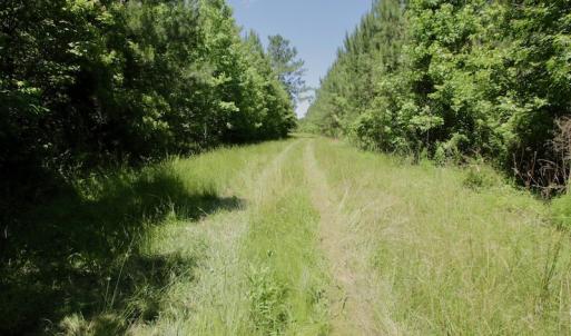 Photo #37 of SOLD property in Off Minor Run Road, Blounts Creek, NC 48.0 acres