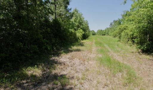 Photo #38 of SOLD property in Off Minor Run Road, Blounts Creek, NC 48.0 acres