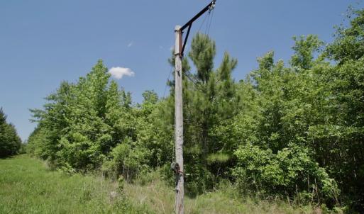 Photo #39 of SOLD property in Off Minor Run Road, Blounts Creek, NC 48.0 acres