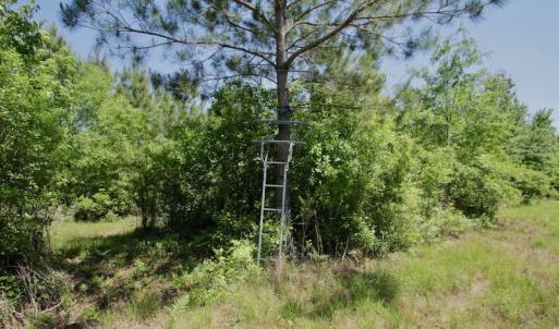Photo #40 of SOLD property in Off Minor Run Road, Blounts Creek, NC 48.0 acres