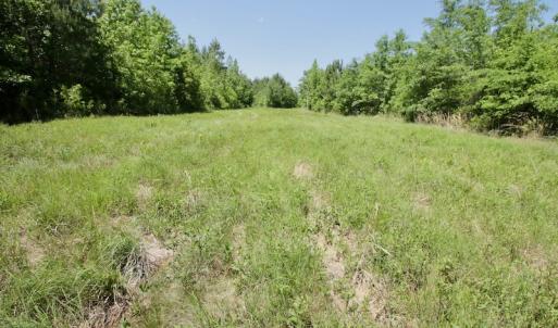 Photo #41 of SOLD property in Off Minor Run Road, Blounts Creek, NC 48.0 acres