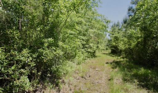 Photo #42 of SOLD property in Off Minor Run Road, Blounts Creek, NC 48.0 acres