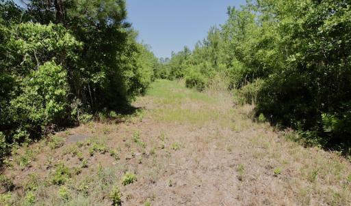 Photo #43 of SOLD property in Off Minor Run Road, Blounts Creek, NC 48.0 acres