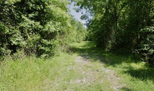 Photo #44 of SOLD property in Off Minor Run Road, Blounts Creek, NC 48.0 acres