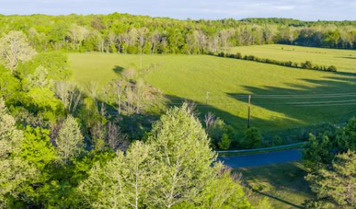 Photo #13 of SOLD property in Off Watoga Road, Dillwyn, VA 29.4 acres
