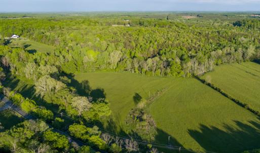 Photo #14 of SOLD property in Off Watoga Road, Dillwyn, VA 29.4 acres