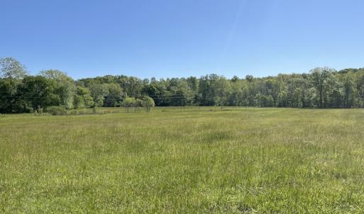Photo #16 of SOLD property in Off Watoga Road, Dillwyn, VA 29.4 acres