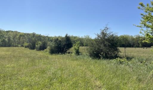 Photo #17 of SOLD property in Off Watoga Road, Dillwyn, VA 29.4 acres