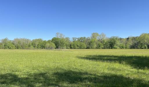 Photo #18 of SOLD property in Off Watoga Road, Dillwyn, VA 29.4 acres