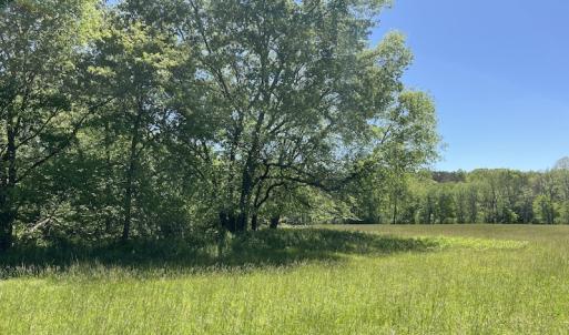 Photo #19 of SOLD property in Off Watoga Road, Dillwyn, VA 29.4 acres