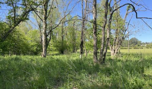 Photo #21 of SOLD property in Off Watoga Road, Dillwyn, VA 29.4 acres