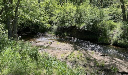 Photo #23 of SOLD property in Off Watoga Road, Dillwyn, VA 29.4 acres