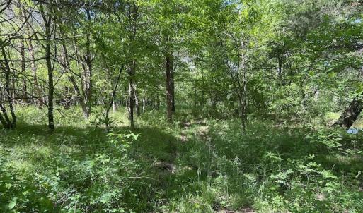 Photo #25 of SOLD property in Off Watoga Road, Dillwyn, VA 29.4 acres