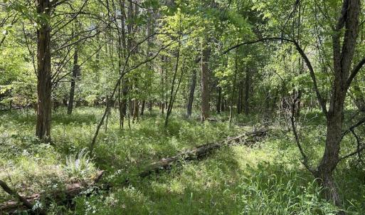Photo #26 of SOLD property in Off Watoga Road, Dillwyn, VA 29.4 acres