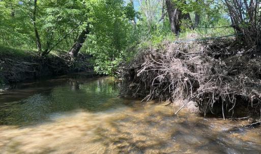 Photo #27 of SOLD property in Off Watoga Road, Dillwyn, VA 29.4 acres