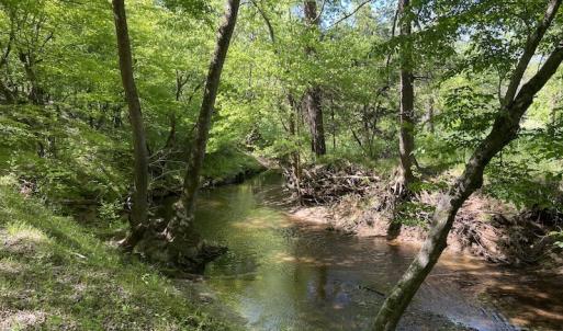 Photo #29 of SOLD property in Off Watoga Road, Dillwyn, VA 29.4 acres