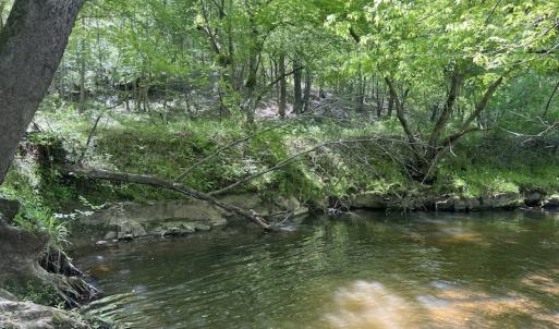 Photo #30 of SOLD property in Off Watoga Road, Dillwyn, VA 29.4 acres