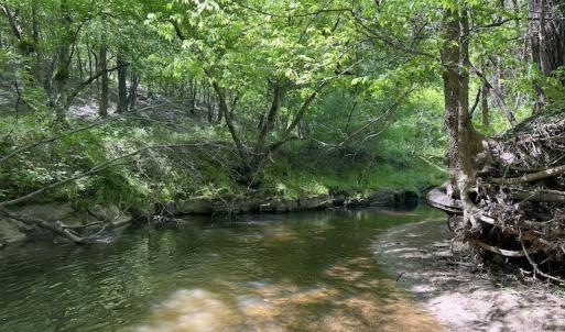 Photo #31 of SOLD property in Off Watoga Road, Dillwyn, VA 29.4 acres