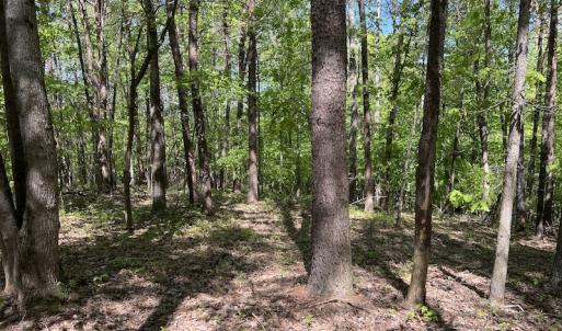 Photo #41 of SOLD property in Off Watoga Road, Dillwyn, VA 29.4 acres