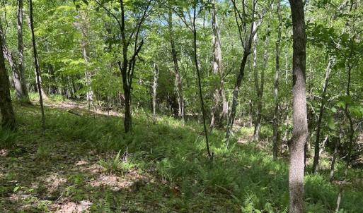 Photo #44 of SOLD property in Off Watoga Road, Dillwyn, VA 29.4 acres