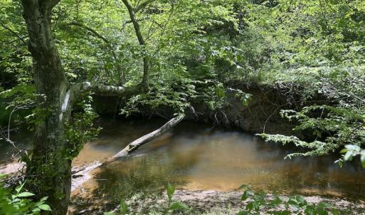 Photo #46 of SOLD property in Off Watoga Road, Dillwyn, VA 29.4 acres