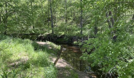 Photo #48 of SOLD property in Off Watoga Road, Dillwyn, VA 29.4 acres