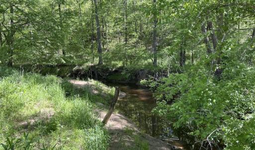 Photo #48 of SOLD property in Off Watoga Road, Dillwyn, VA 29.4 acres