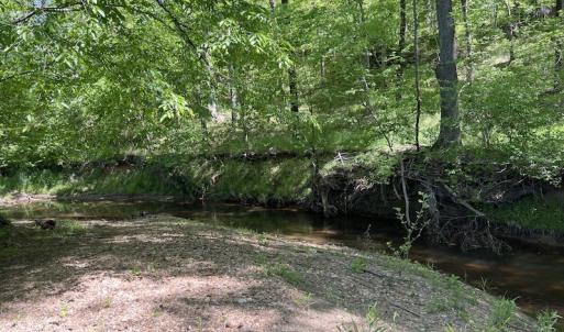 Photo #49 of SOLD property in Off Watoga Road, Dillwyn, VA 29.4 acres
