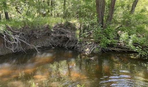 Photo #51 of SOLD property in Off Watoga Road, Dillwyn, VA 29.4 acres
