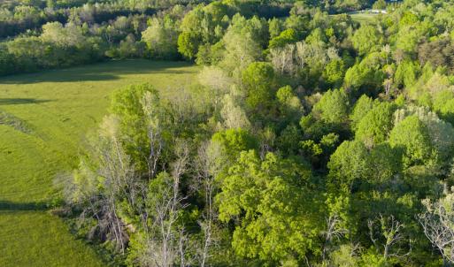 Photo #8 of SOLD property in Off Watoga Road, Dillwyn, VA 29.4 acres