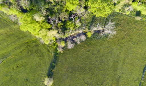 Photo #9 of SOLD property in Off Watoga Road, Dillwyn, VA 29.4 acres